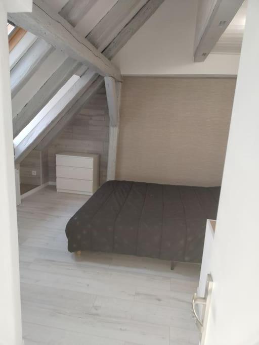 Charmant Appartement Cosy Sélestat Eksteriør billede