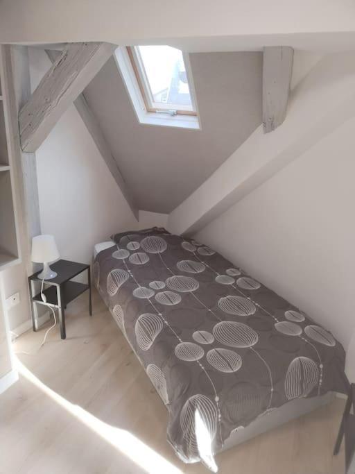 Charmant Appartement Cosy Sélestat Eksteriør billede
